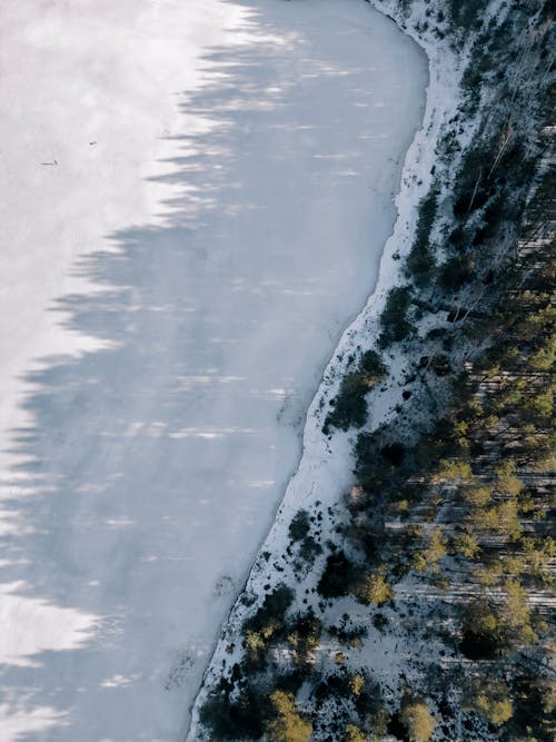 Aerial Photography of a Lake and a Forest on the Lakeshore in Winter 