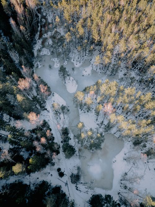 Free Aerial view of snow-covered forest and frozen river in Latvia, capturing the serene winter beauty from above. Stock Photo