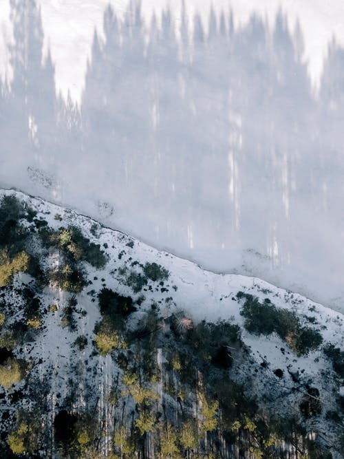 Free Trees Reflection in Frozen Lake Ice Stock Photo