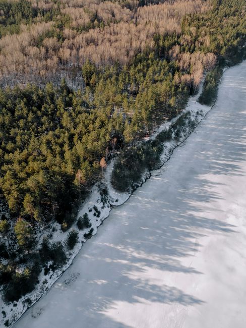 Aerial photograph of a frozen river beside a forest in Ogre, Latvia during winter.