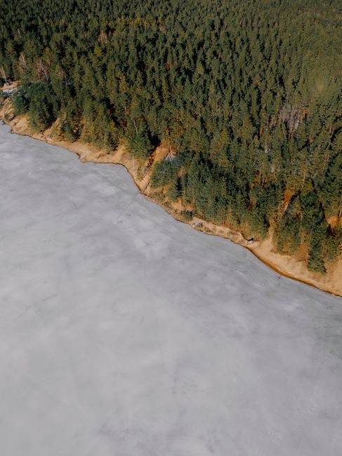 Aerial shot capturing a serene frozen river meeting a dense pine forest in Ogre, Latvia.