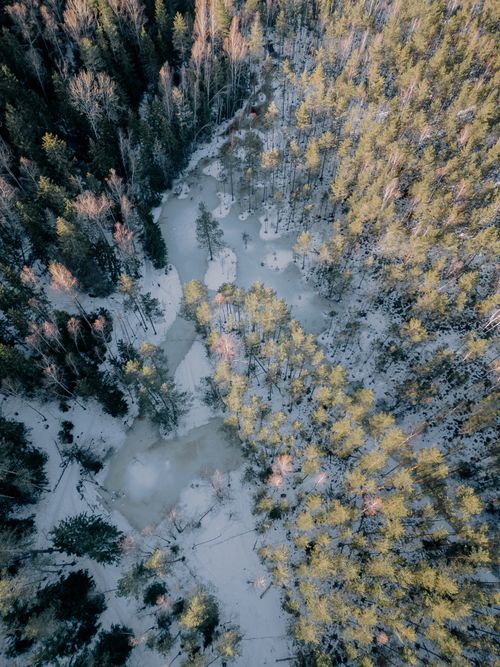 Free A stunning aerial view of a snowy forest and frozen river in winter, Ogre, Latvia. Stock Photo