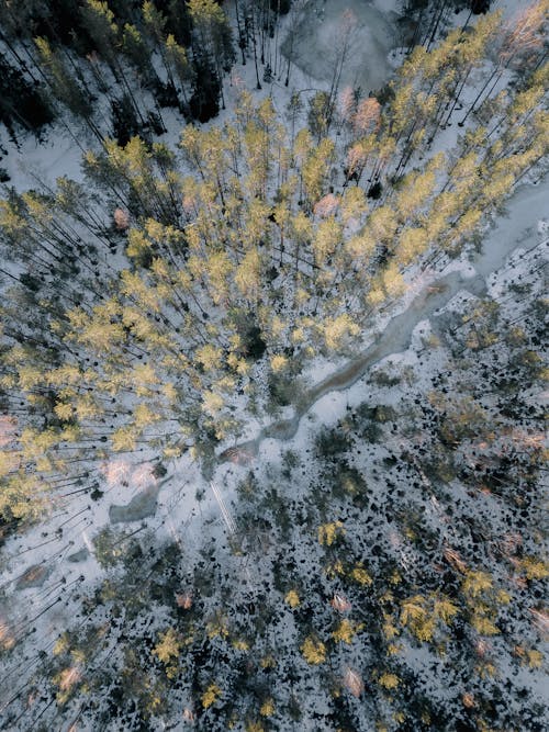 ドローン撮影, 冬, 凍るの無料の写真素材
