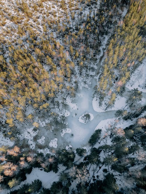 Kostnadsfri bild av drönarbilder, fågelperspektiv, Flygfotografering