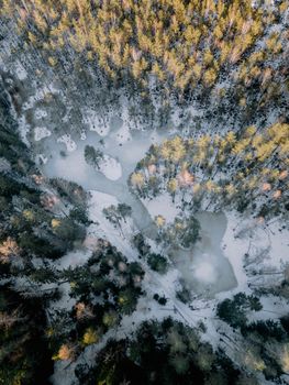 Captivating aerial shot of a snow-dusted forest in Ogre, Latvia during winter.