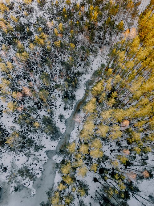 Free Scenic winter aerial view of a frozen forest in Ogre, Latvia, showcasing snow and a winding river. Stock Photo