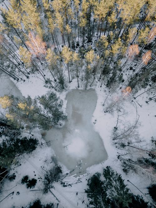 Free Aerial view of a frozen lake surrounded by a snowy forest in Latvia during winter. Stock Photo