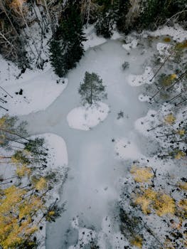 A stunning aerial view of a frozen forest in Ogre, Latvia, covered in snow during winter.