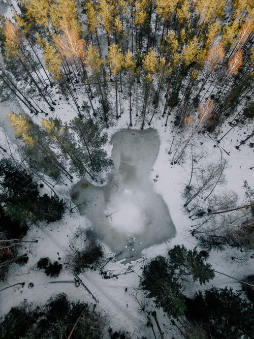 Free A top-down aerial view of a snowy forest with a frozen lake in Latvia during winter. Stock Photo