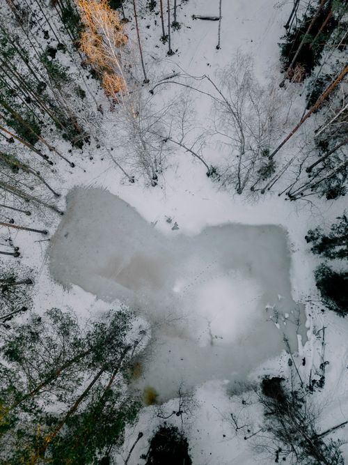 Free Stunning aerial view of a frozen lake surrounded by snowy trees in Latvian winter forest. Stock Photo