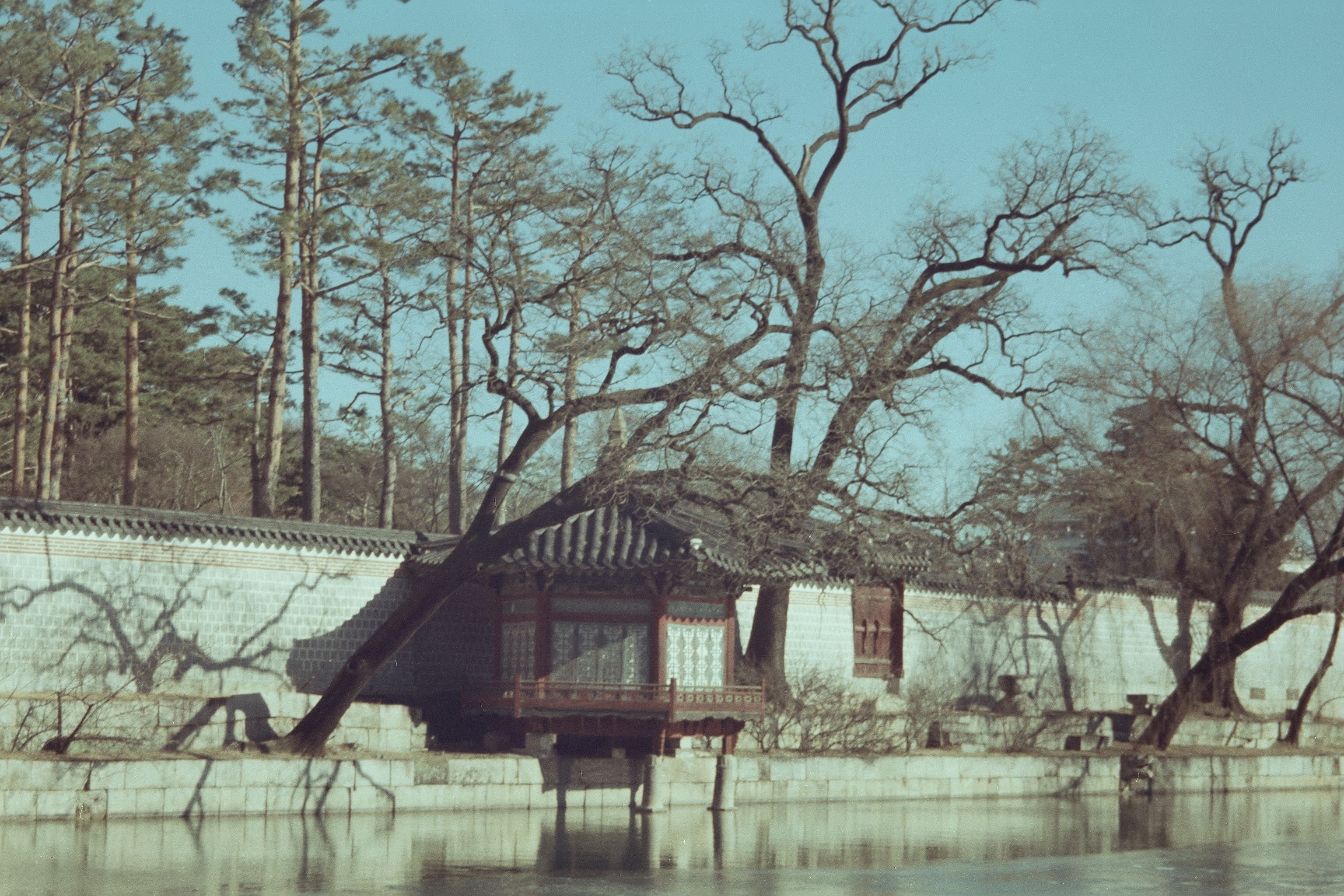 Peaceful view of traditional Korean pavilion and pond at Gyeongbokgung Palace in Seoul.