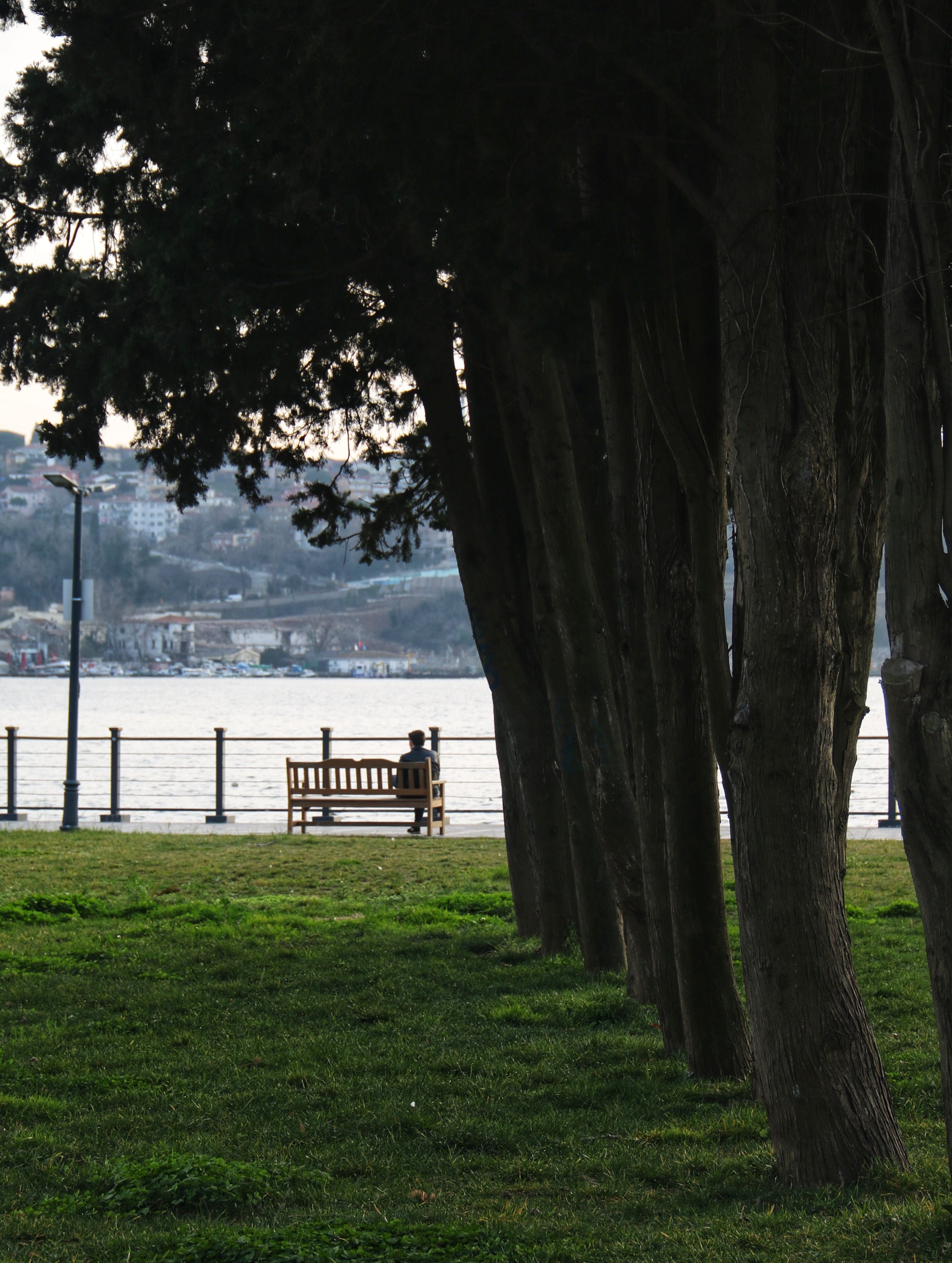 Se ressourcer au parc 