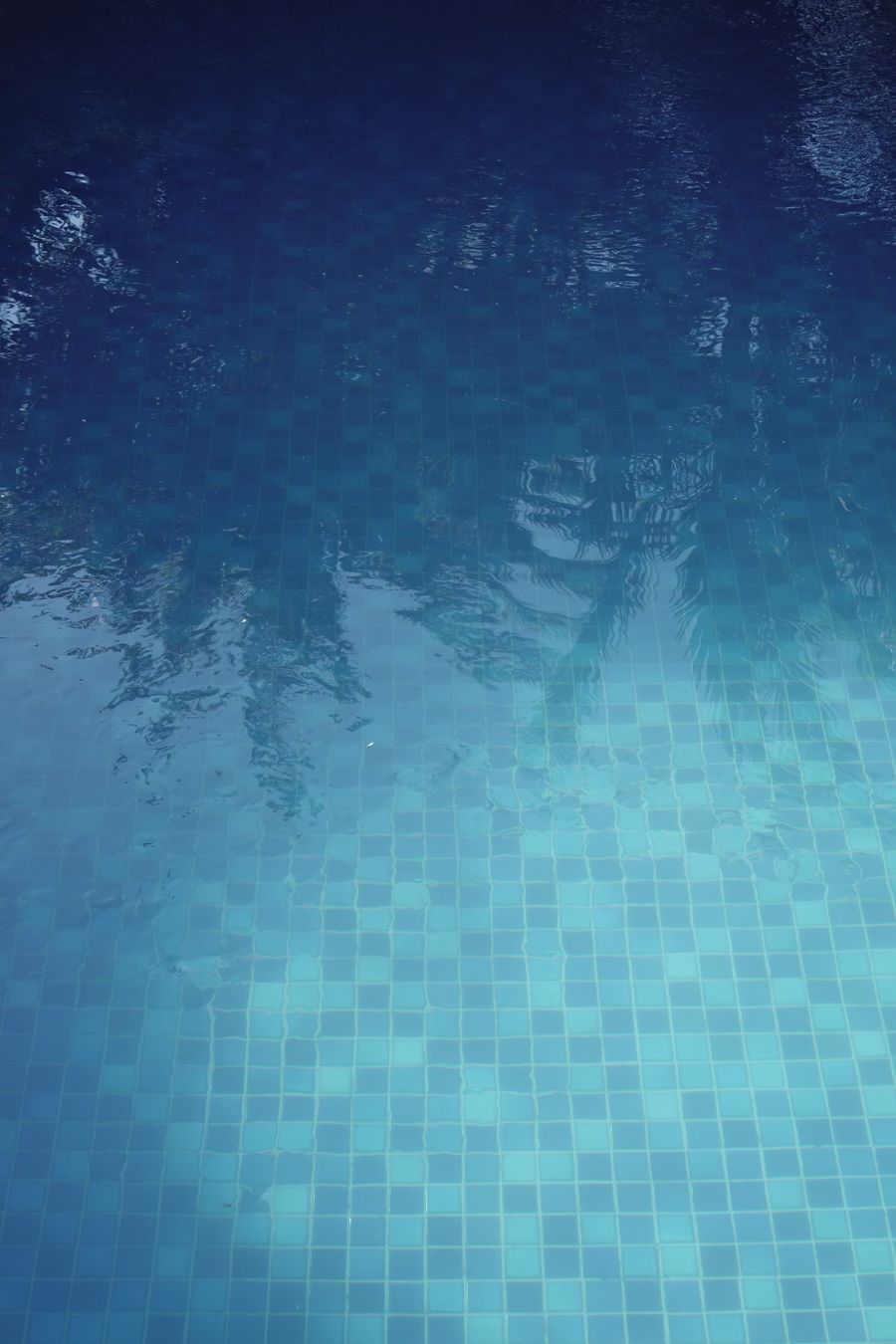 Clear pool water reflecting palm silhouettes