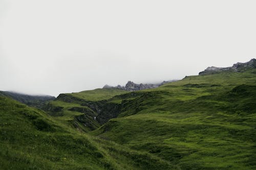 Kostnadsfri bild av grässlätt, grön, kulle