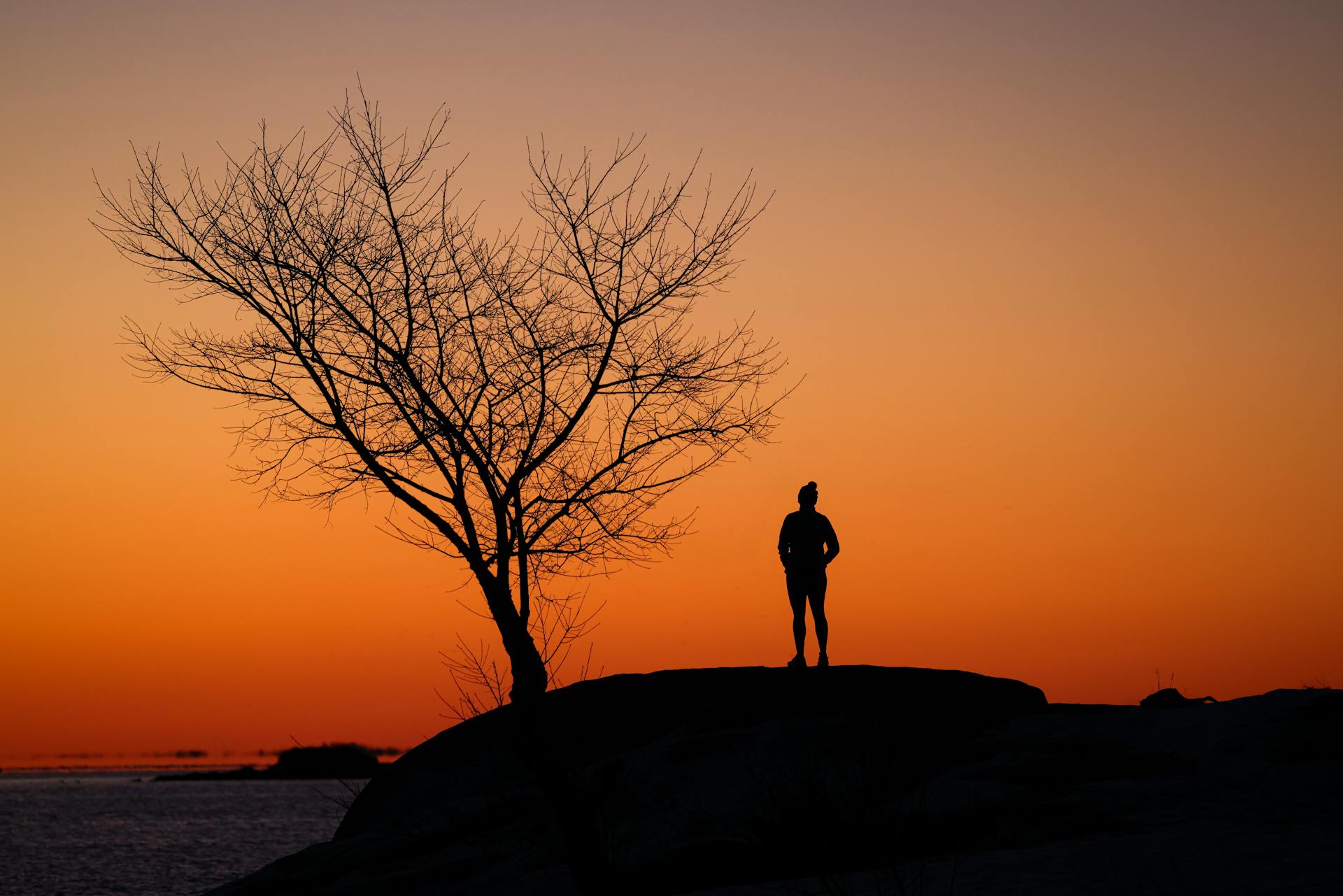 A person stands silhouetted against an orange sunset on the coast of Stamford, Connecticut.