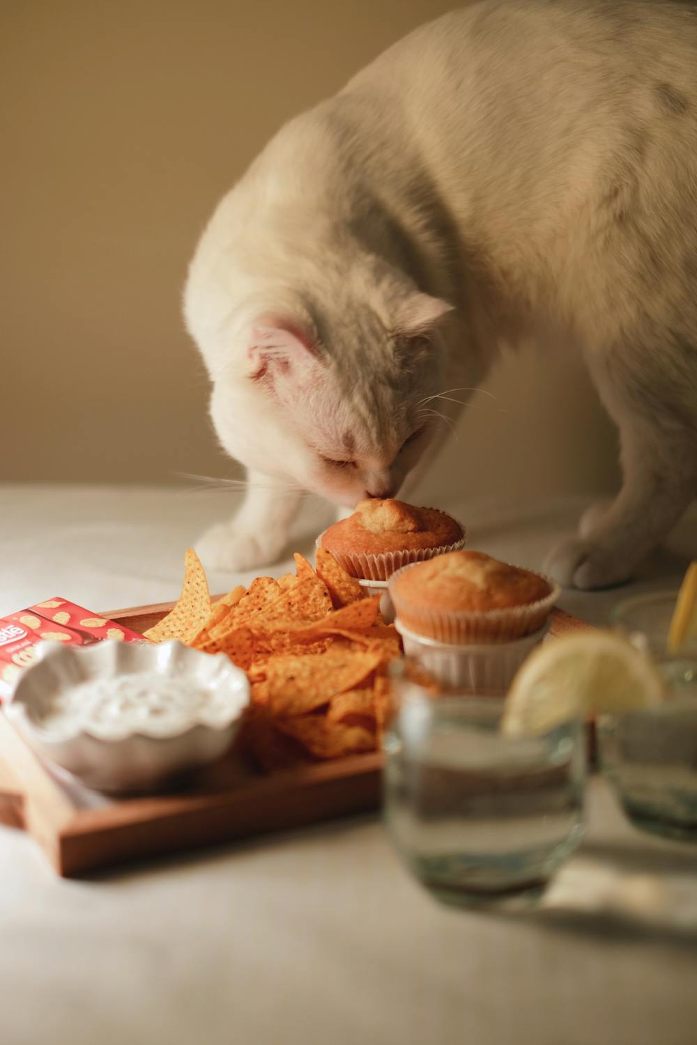 Rhubarb Sauce Muffins