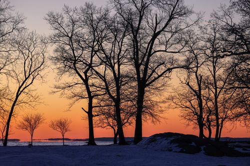 Free Capture the beauty of a tranquil sunset silhouette in Stamford, Connecticut's serene park setting. Stock Photo