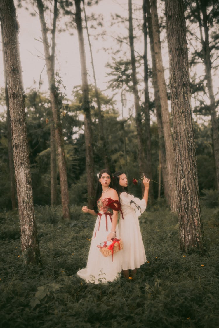 Girls In Dresses Standing On A Meadow In A Forest