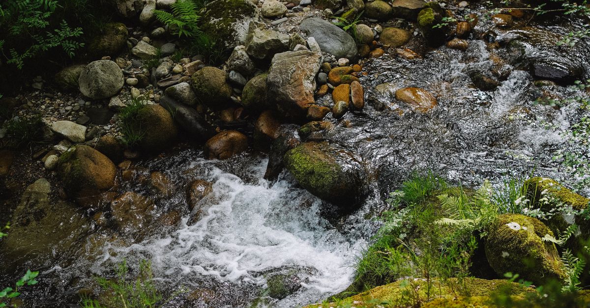Rapids Ina Stream Rapids of Stream · Free Stock Photo