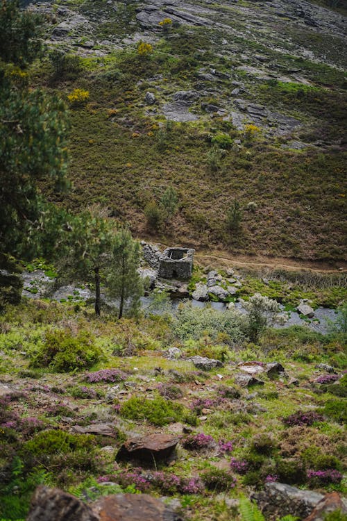 View of a Valley Photographed from a Hill 