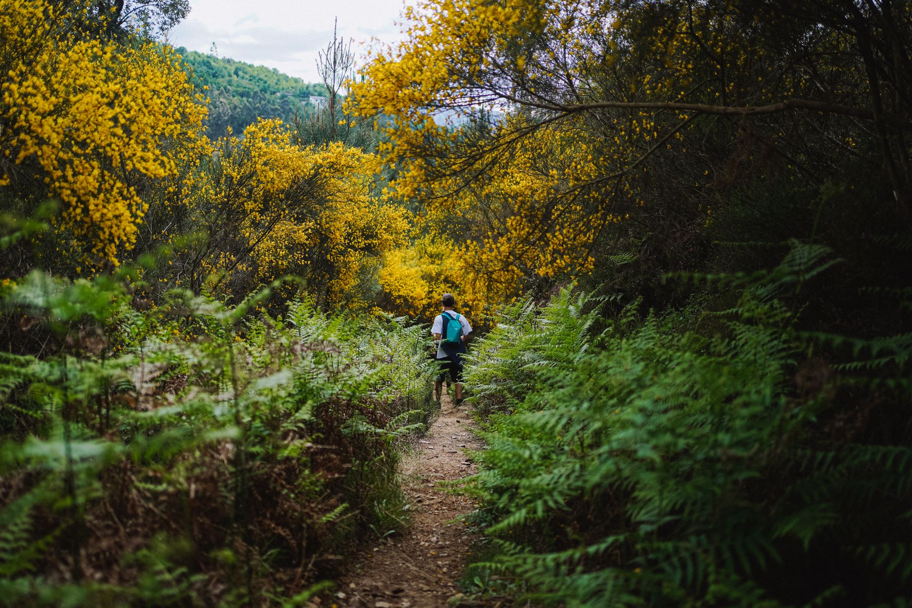 barefoot vs. cushioned hiking shoes