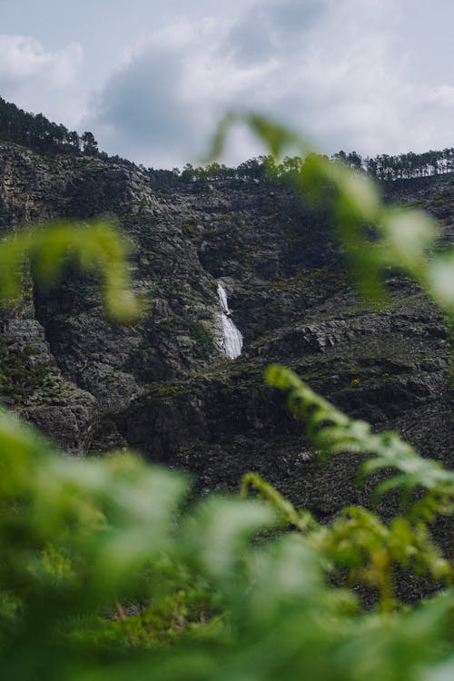 Fotos de stock gratuitas de acantilado, arboles, cascada