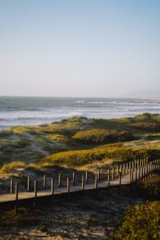 A serene boardwalk leading to the coast with ocean waves and lush greenery.
