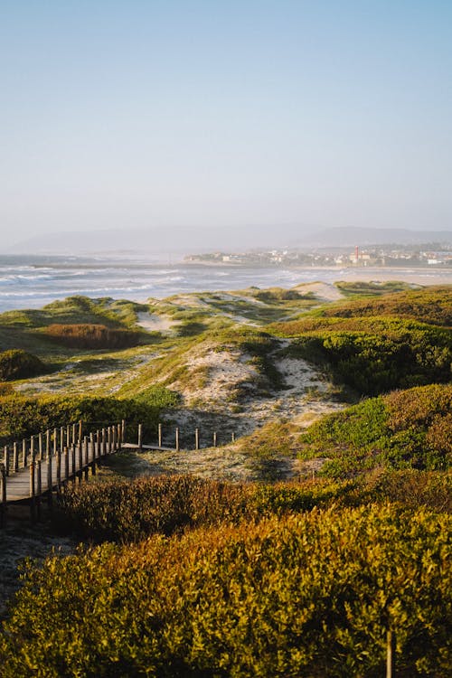 Boardwalk on Sea Shore