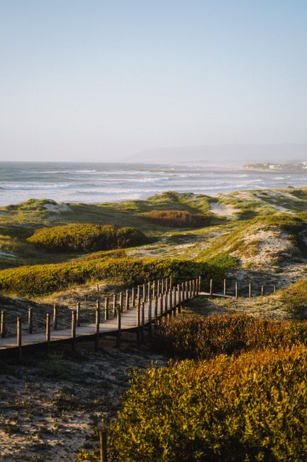 Wooden boardwalk through coastal dunes with ocean view, perfect for nature and travel themes.
