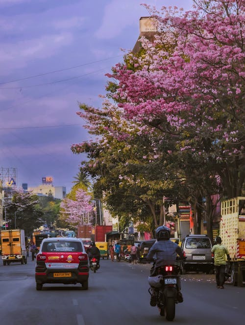 View of a Busy Street in City 