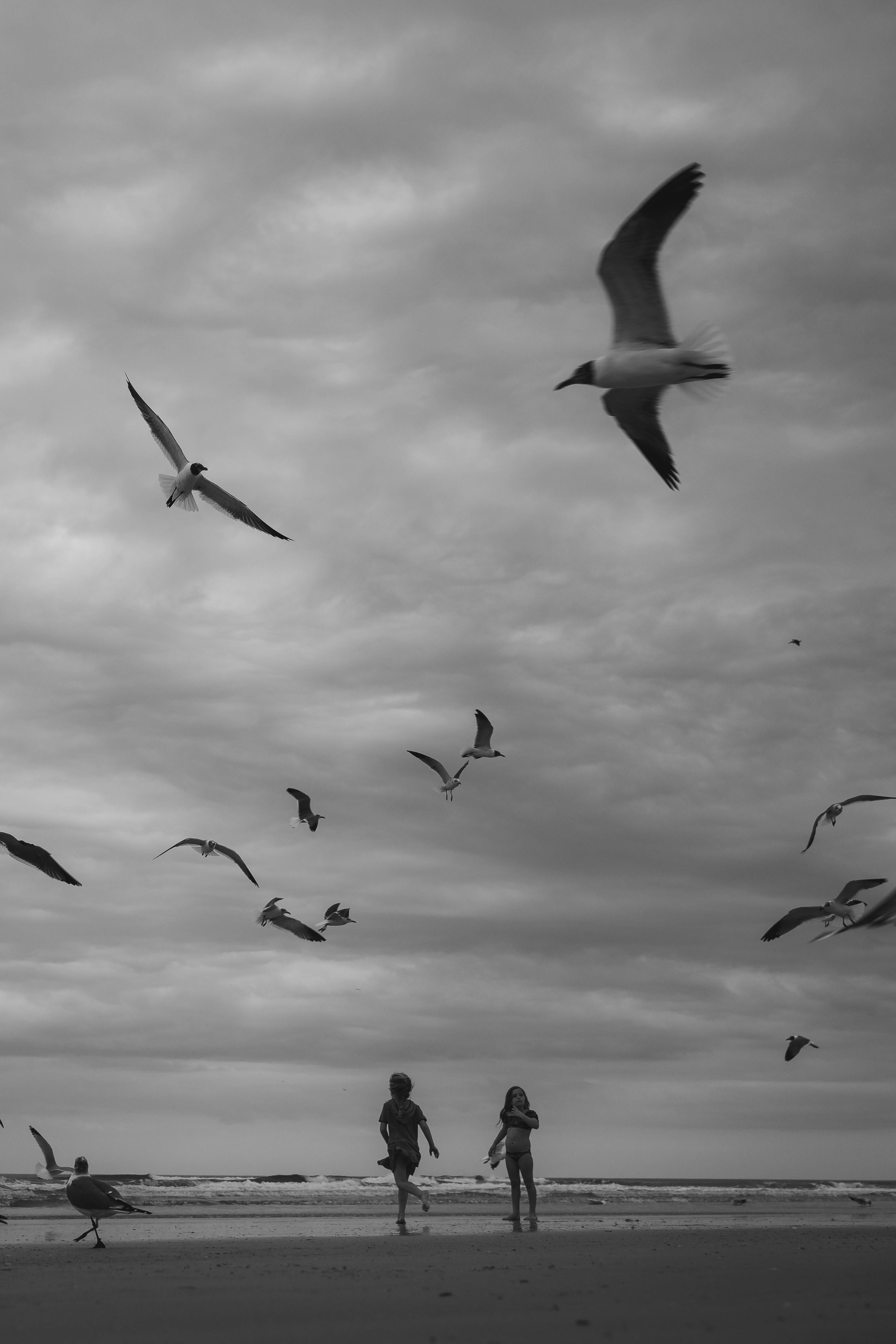 Children play on a beach surrounded by flying seagulls, captured in a black and white scene.