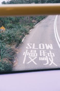 A countryside road with 'Slow' warning text in English and Chinese, surrounded by greenery.