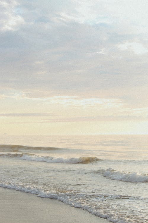 Imagine de stoc gratuită din coastă, face cu mâna, fotografiere verticală