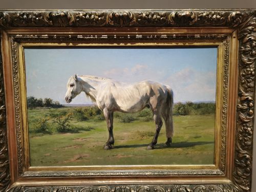 Free Peinture Cheval - Musée Stock Photo