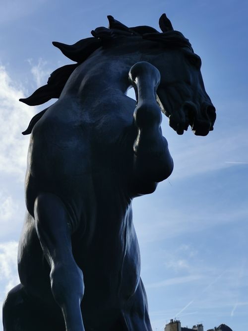 Free Cheval en Bronze - Paris Stock Photo