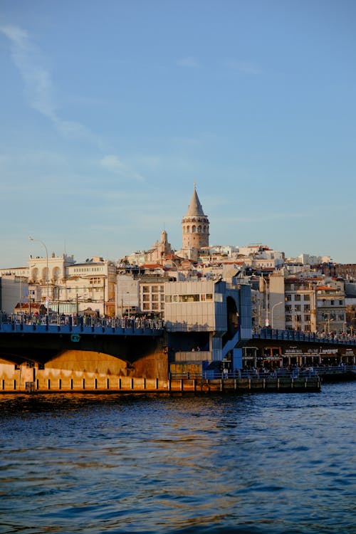 Imagine de stoc gratuită din bosphorus, curcan, fotografiere verticală