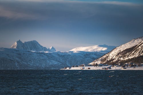 Arktik, buzul, deniz içeren Ücretsiz stok fotoğraf