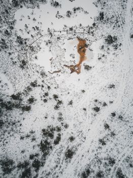 Drone shot capturing a snow-covered rural landscape with scattered trees and brown patches.