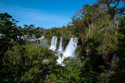 Waterfalls in Forest