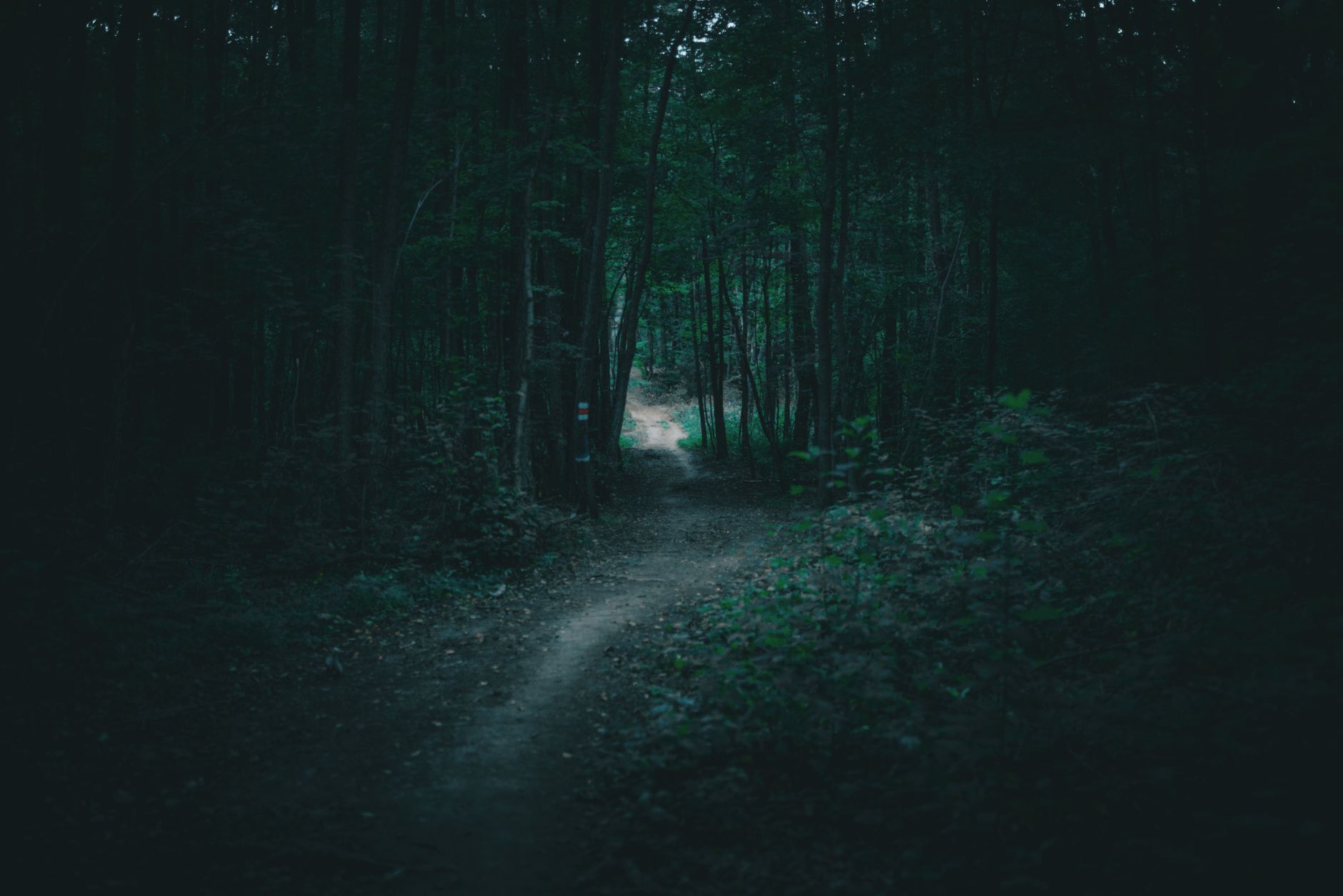 the first 90 days with a new marketing agency, and what should actually happen