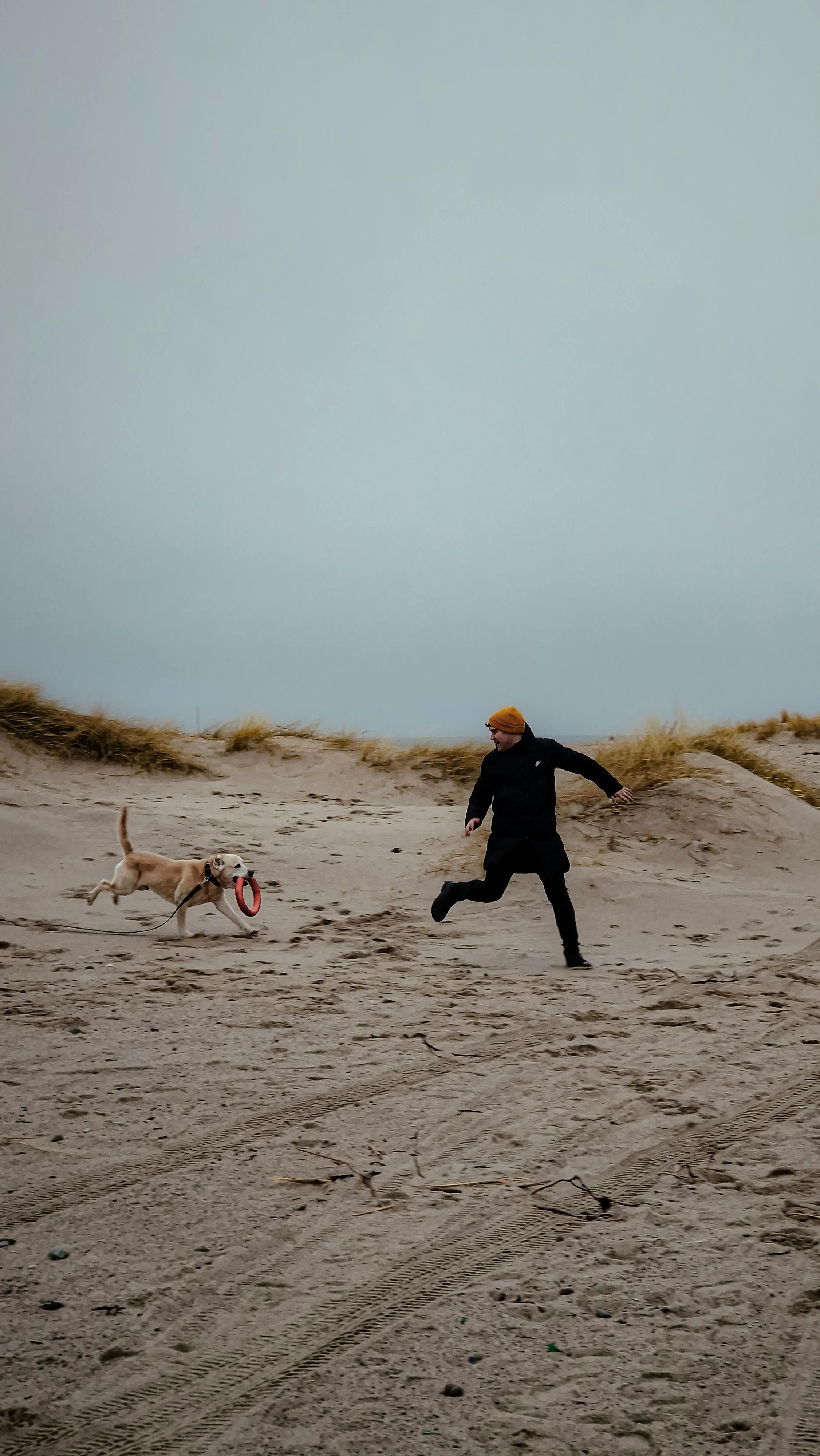 man running and playing with dog