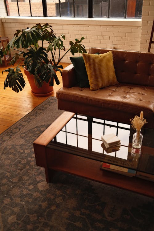 A living room with a coffee table and a plant
