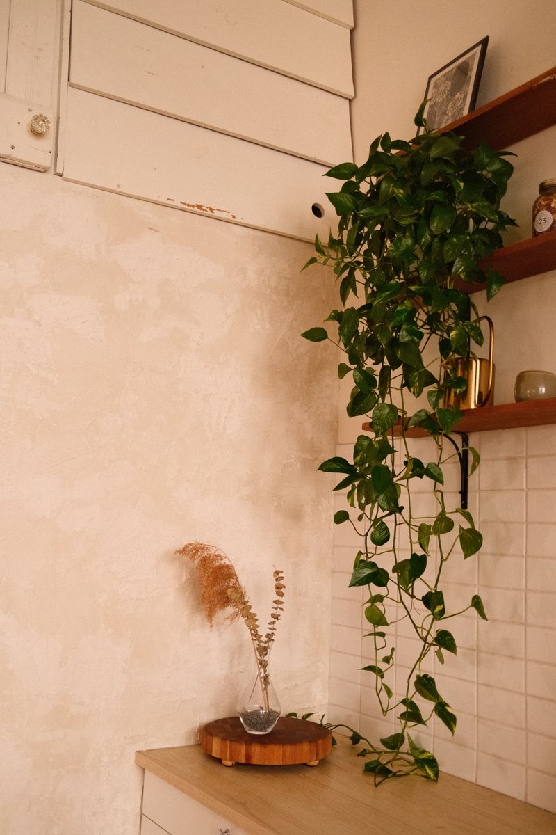 Green Room Photos, Download The BEST Free Green Room Stock Photos & HD ...