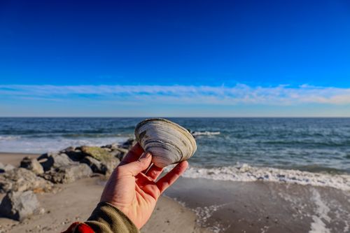 Free A hand holds a large seashell against the backdrop of a sunny beach and clear blue sky. Stock Photo