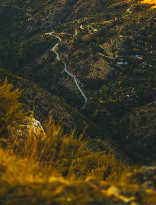 Montaña Marrón