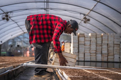 A man in a red and black plaid shirt is working in a greenhouse