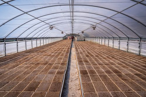 Free Expansive greenhouse interior featuring empty planting rows and a clear arched ceiling. Stock Photo