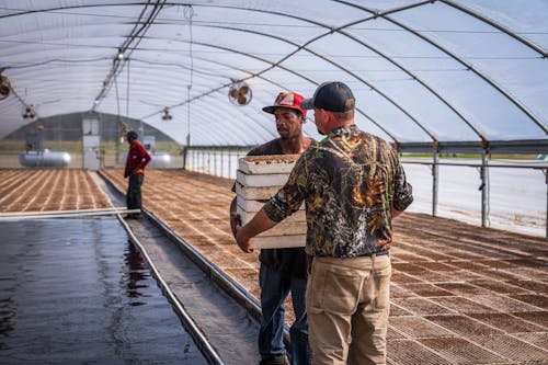 Two men are standing in a greenhouse with a box