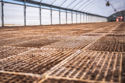 A large greenhouse with a grid of metal
