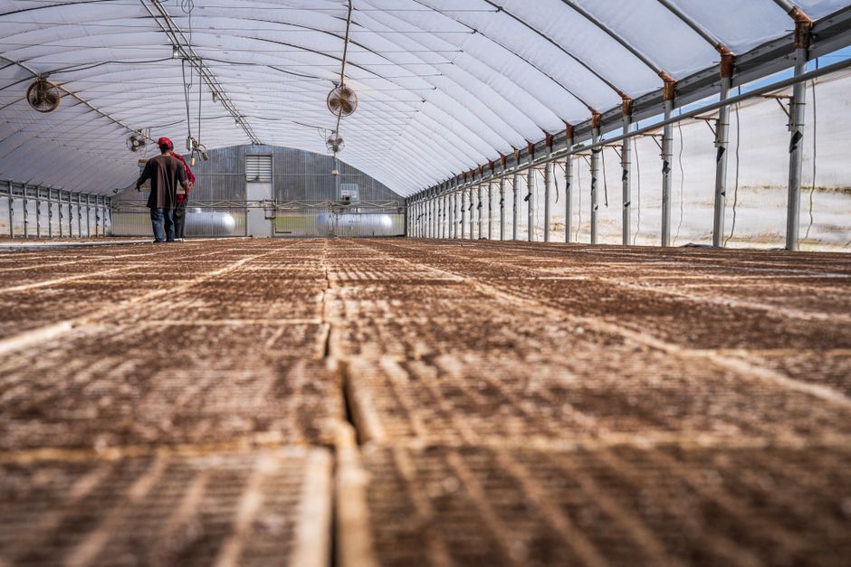 Interior of a large empty greenhouse with two workers inspecting the space.